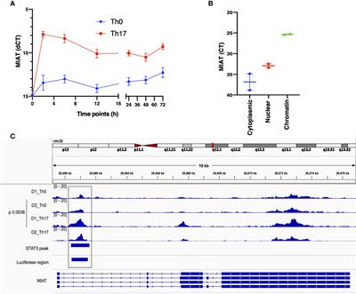 Long Intergenic Noncoding RNA MIAT as a Regulator of Human Th17 Cell Differentiation